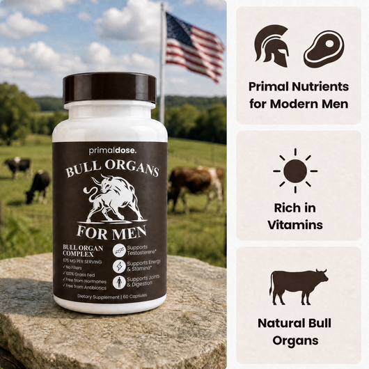 Bull Organ Complex for Men