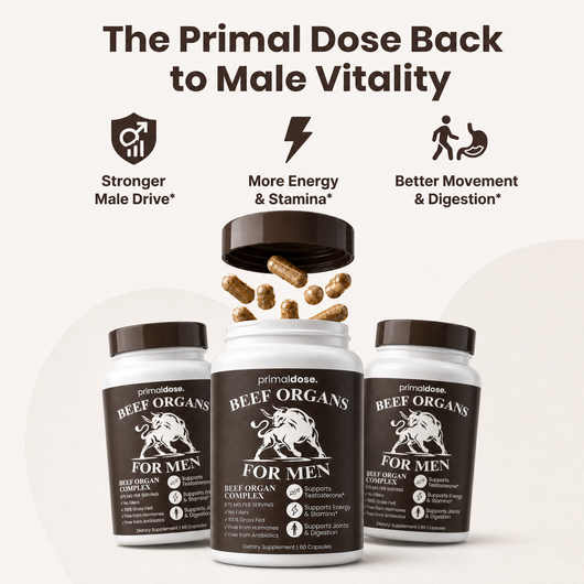 Beef Organ Complex for Men