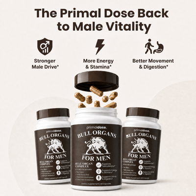 Bull Organ Complex for Men