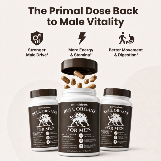 Bull Organ Complex for Men