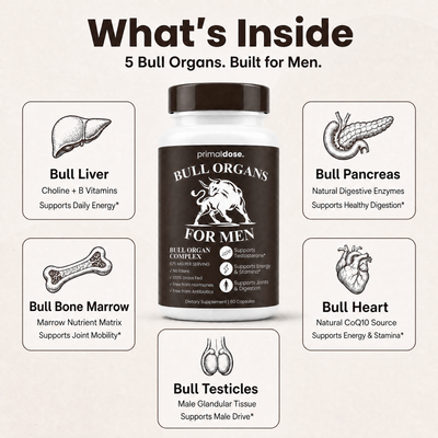 Bull Organ Complex for Men