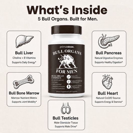 Bull Organ Complex for Men