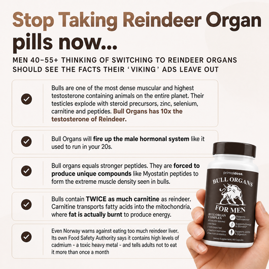 Bull Organ Complex for Men