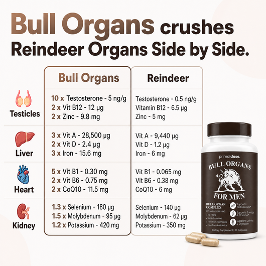 Bull Organ Complex for Men