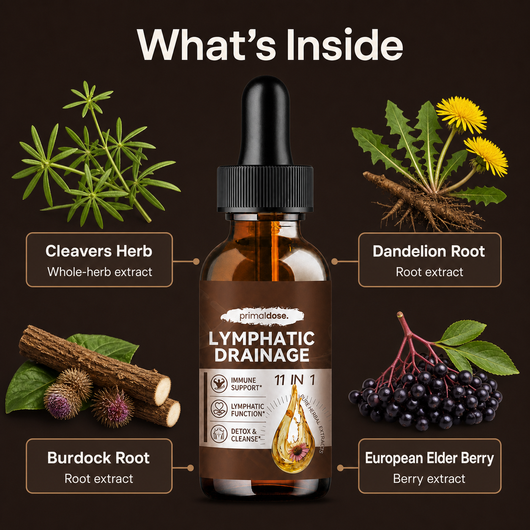 Primaldose Lymphatic Cutting Drops — cleavers, dandelion, burdock, and elder berry